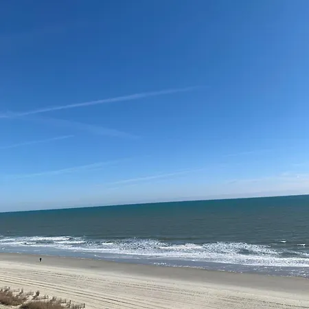 Ocean View Rentals-2