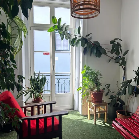 Living Lounge Hostel-2