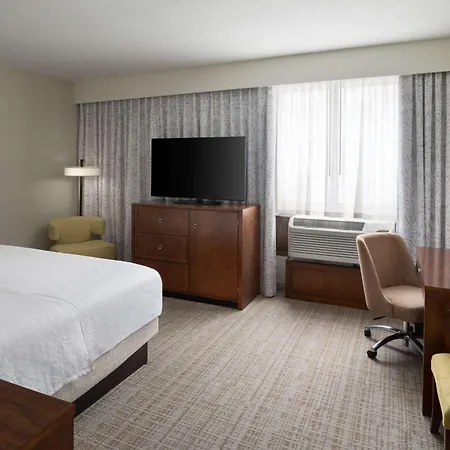 Hampton Inn & Suites Orlando/Downtown South - Medical Center-3