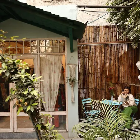 The Bougainvillea Bed & Breakfast-3