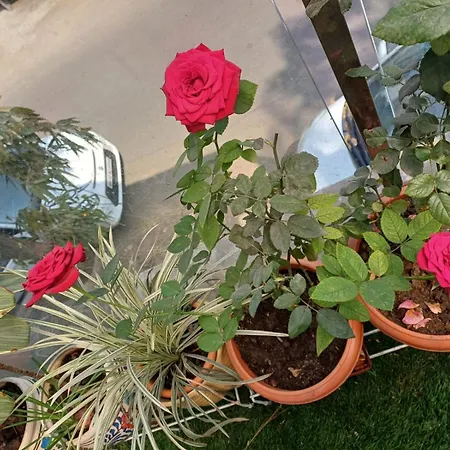 2Bhk Chandra Jyoti Villa Nit Garden Nagpur-2