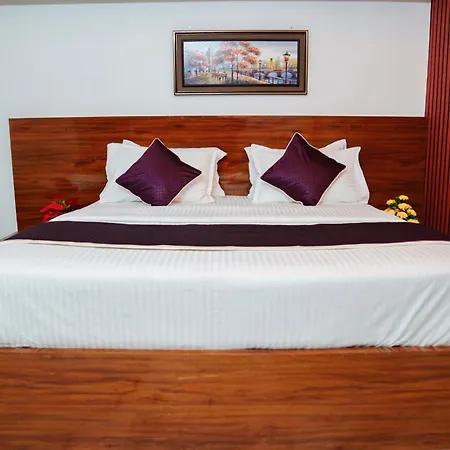Rich Inn Palace Tnagar-3