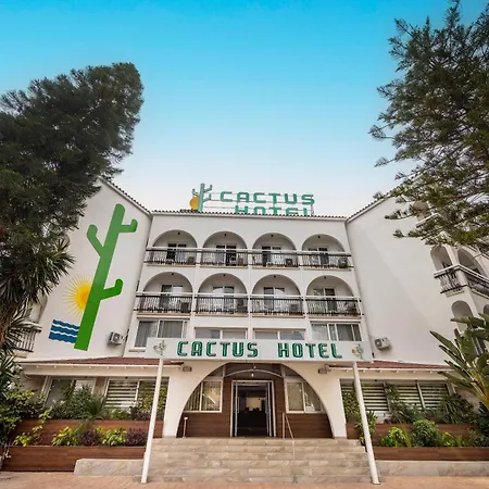 Cactus-2