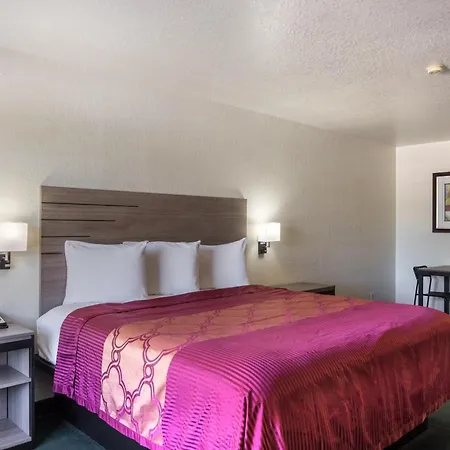 Oyo Inn & Suites Medical Center San Antonio-3