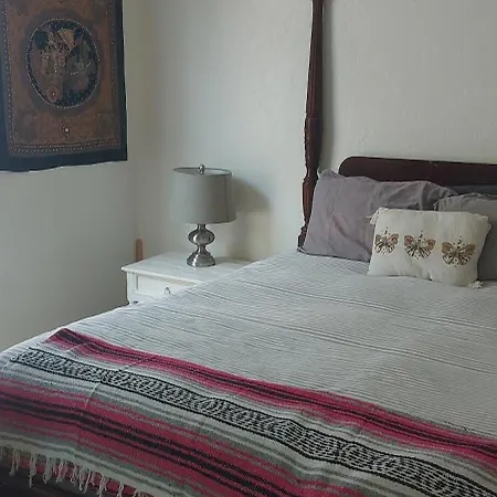 Ocean Front Vortex Female Hostel Private Rooms Free Bikes-3
