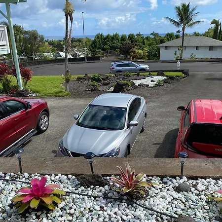 Guest House In Hilo-3