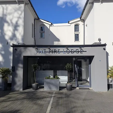 Oyo Firs Lodge London Heathrow-3