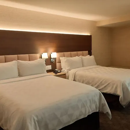 Holiday Inn Guatemala By Ihg-3