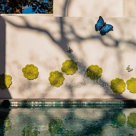 Jardim Da Lapa By Shiadu-2