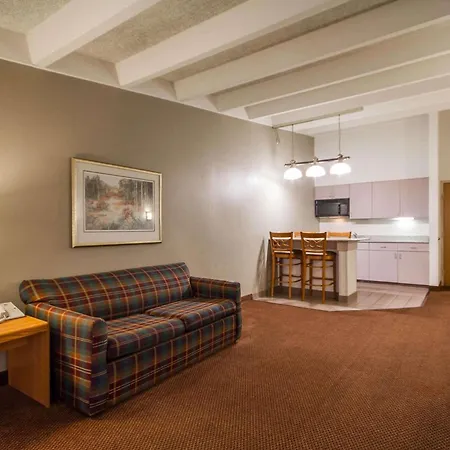 Comfort Inn & Suites Madison - Airport-3