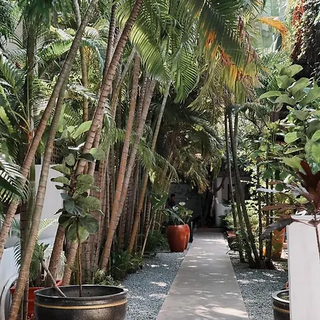Maison 557-2