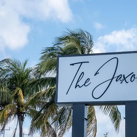 The Jaxon-3