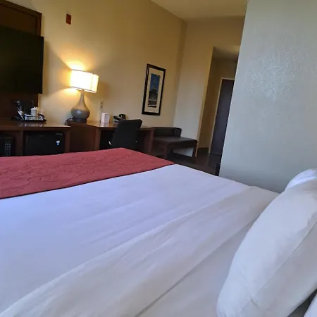 Comfort Suites Nashville Near Percy Priest Lake-2