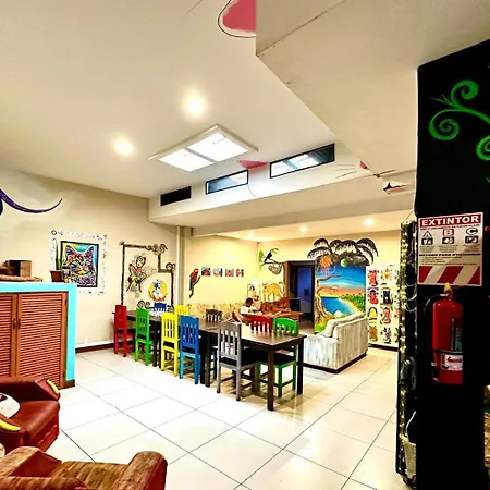 Stray Cat Hostel-2