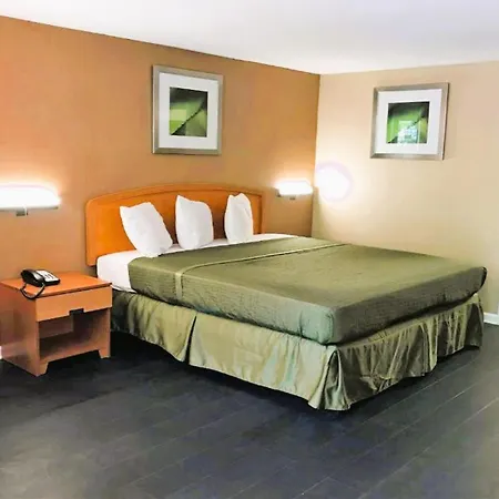 Oyo Hotel Tallahassee Downtown-2