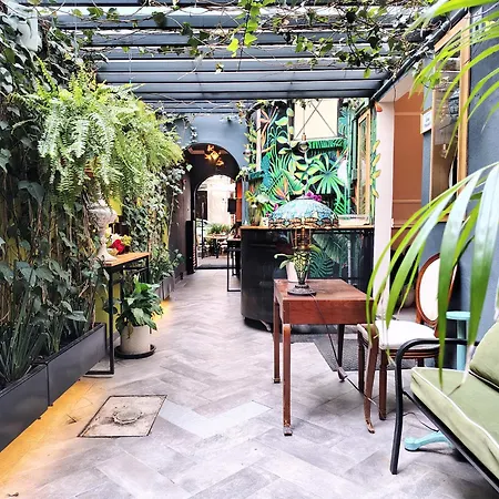 Casa Panuco-3