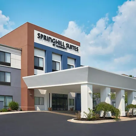 Springhill Suites By Marriott Lansing West-2