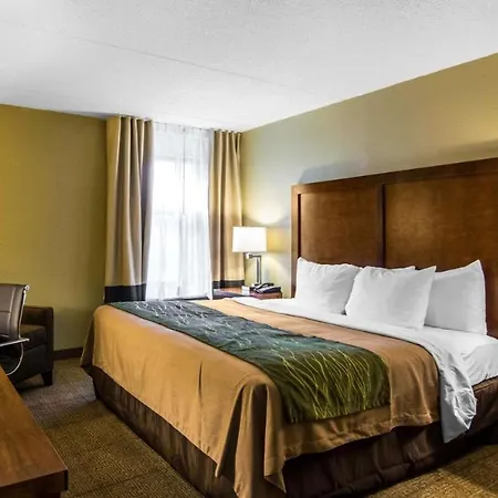 Mulberry Inn-2