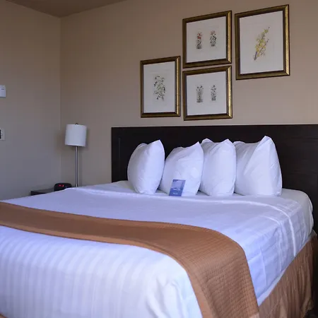 Emerald Hotel & Suites Calgary Airport-3