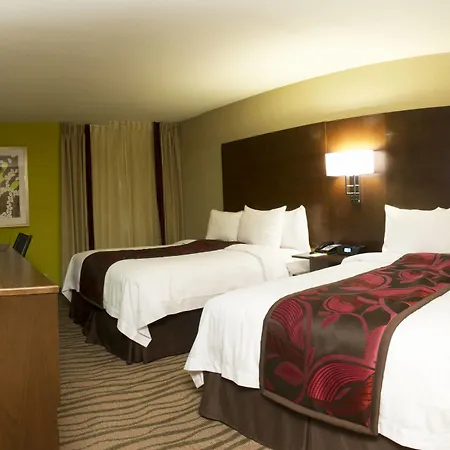 Fairfield Inn & Suites By Marriott Dallas Dfw Airport South/Irving-3