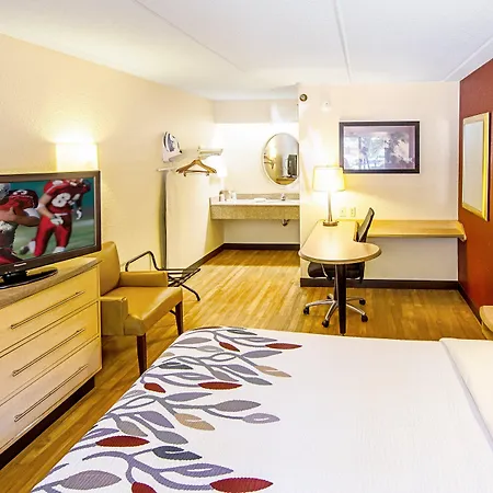 Red Roof Inn Albany Airport-3