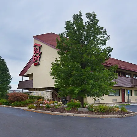Red Roof Inn Lansing West - Msu-3