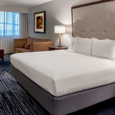 Sonesta Hotel Houston Iah Airport-3