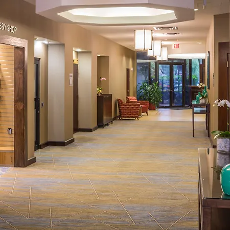 Marriott Tampa Westshore-3