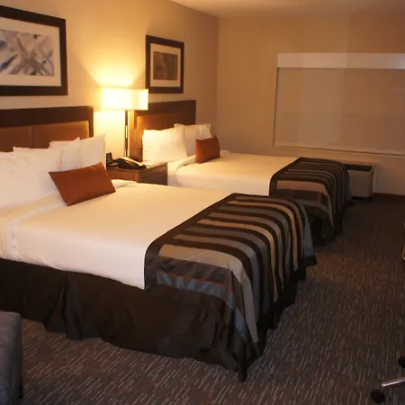 Wingate By Wyndham - Chattanooga-3