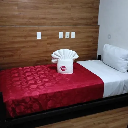 Hotel Sonno Plaza Allende-3