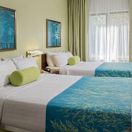 Springhill Suites Charlotte University Research Park-2