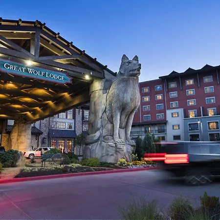 Great Wolf Lodge Grapevine-3