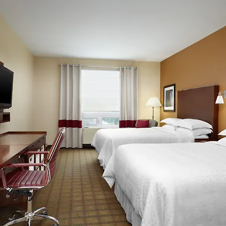 Four Points By Sheraton Calgary Airport-3