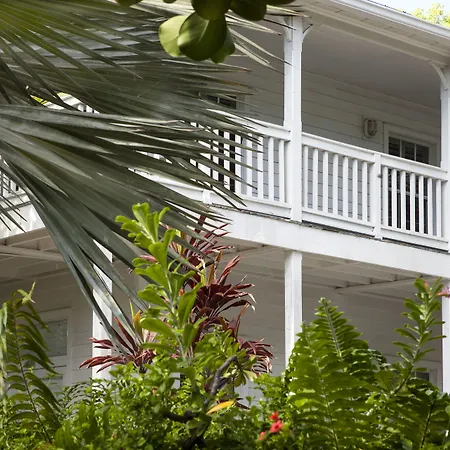 Paradise Inn - Adult Exclusive-2