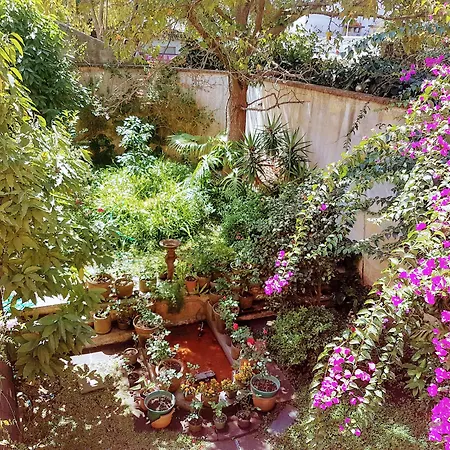 Casa Carmel Bed & Breakfast-3