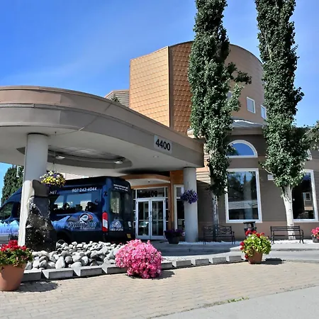 Puffin Inn-3