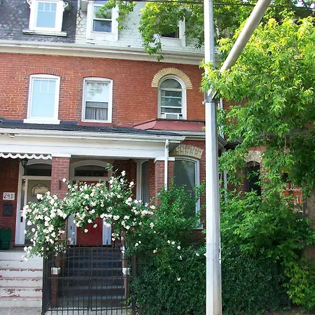 Comfy Guesthouse & Suite-2