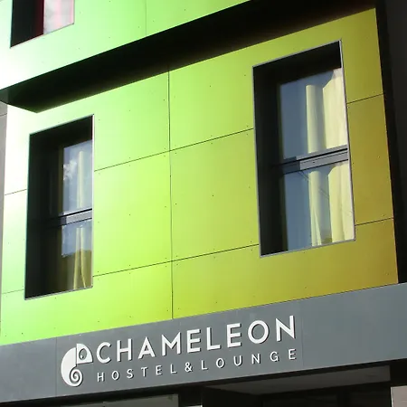 Chameleon Youth Hostel Alicante-3