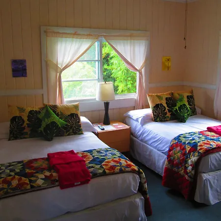Wild Ginger Inn Hotel & Hostel-3