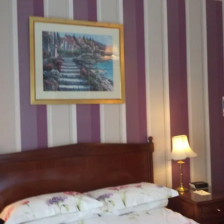 Acer Lodge Guest House-2