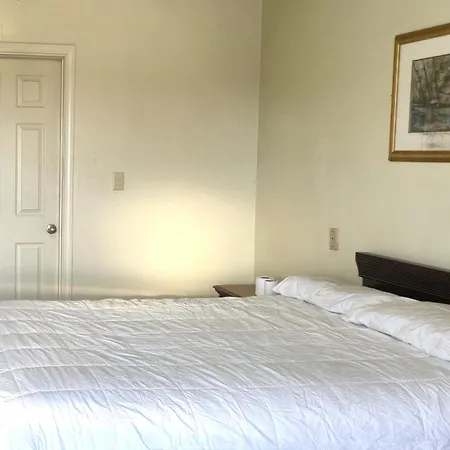 Cole Manor Motel By Oyo Love Field Market Center-3