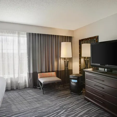 Embassy Suites By Hilton Orlando Airport-3