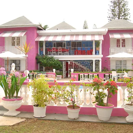 Pinkhibiscus Guest House-3