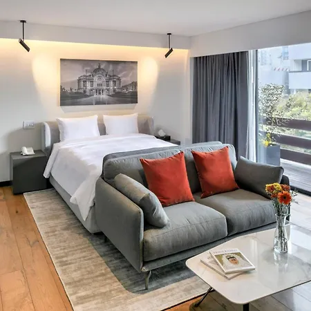 Amberes 64, An Ascend Collection Hotel-3