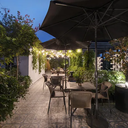 Casa Decu-3
