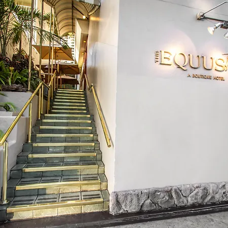 The Equus-2