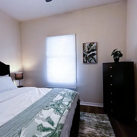 La Casa Verde!-2