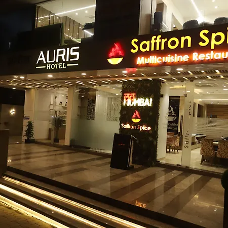 Hotel Auris & Banquets, Mumbai International Airport-3