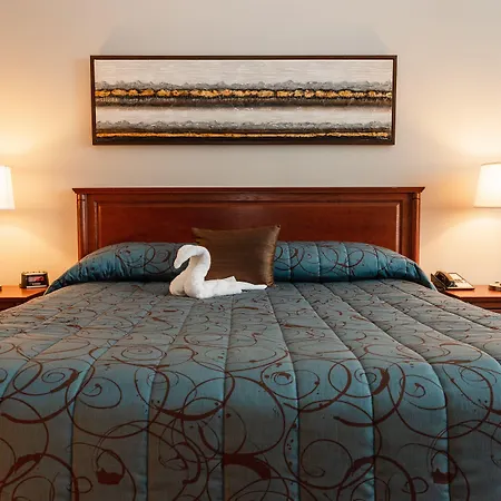 Adam'S Airport Inn-2
