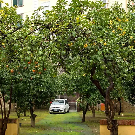 Palazzo Sant'Antonio-3